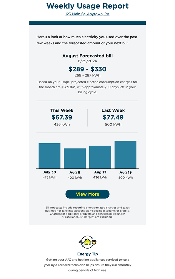 Weekly Usage Report